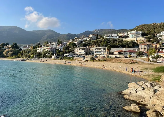 Harmony * PalaiónTsiflíkion